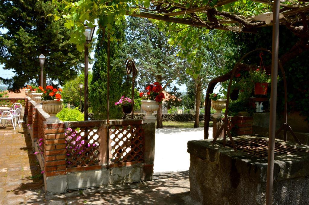 Villa Bonaccorso - Antica E Maestosa Villa Con Piscina Ai Piedi Dell'Etna Viagrande Exteriér fotografie
