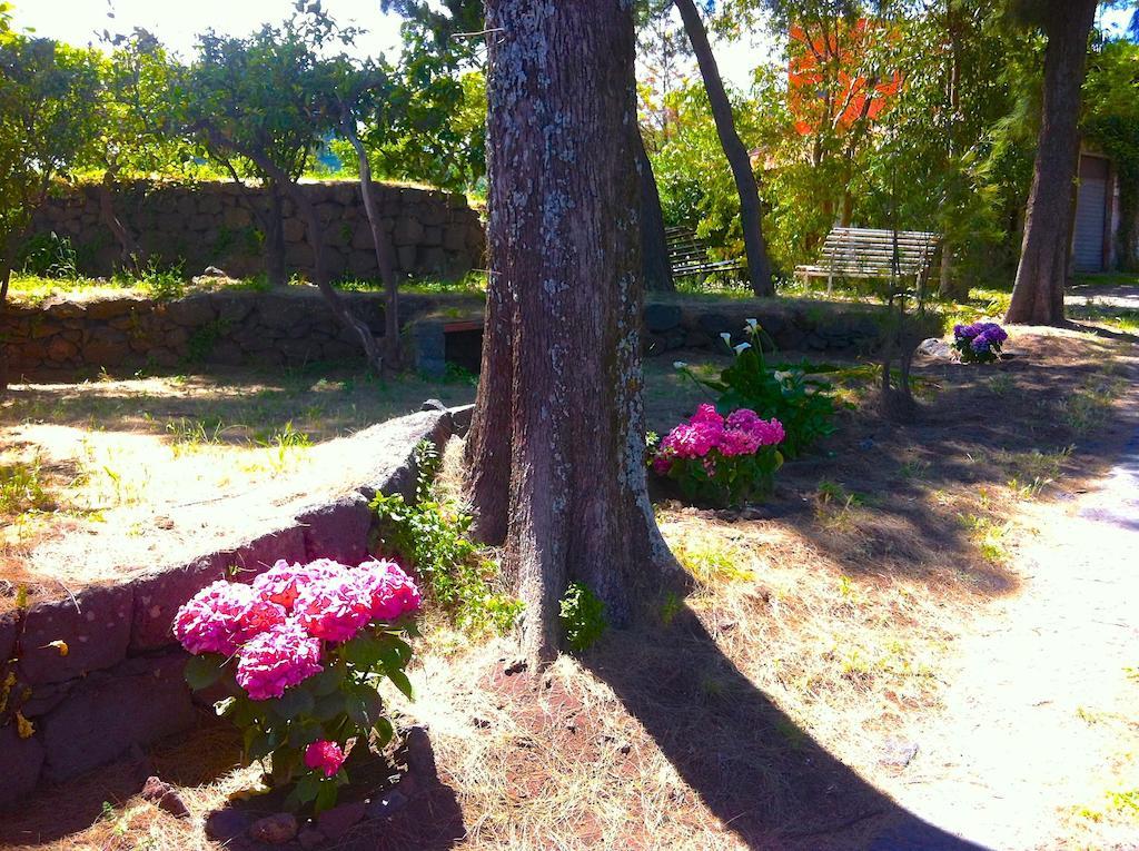 Villa Bonaccorso - Antica E Maestosa Villa Con Piscina Ai Piedi Dell'Etna Viagrande Exteriér fotografie