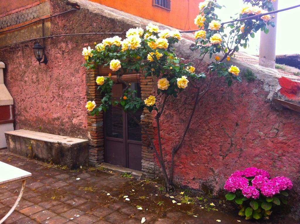 Villa Bonaccorso - Antica E Maestosa Villa Con Piscina Ai Piedi Dell'Etna Viagrande Exteriér fotografie