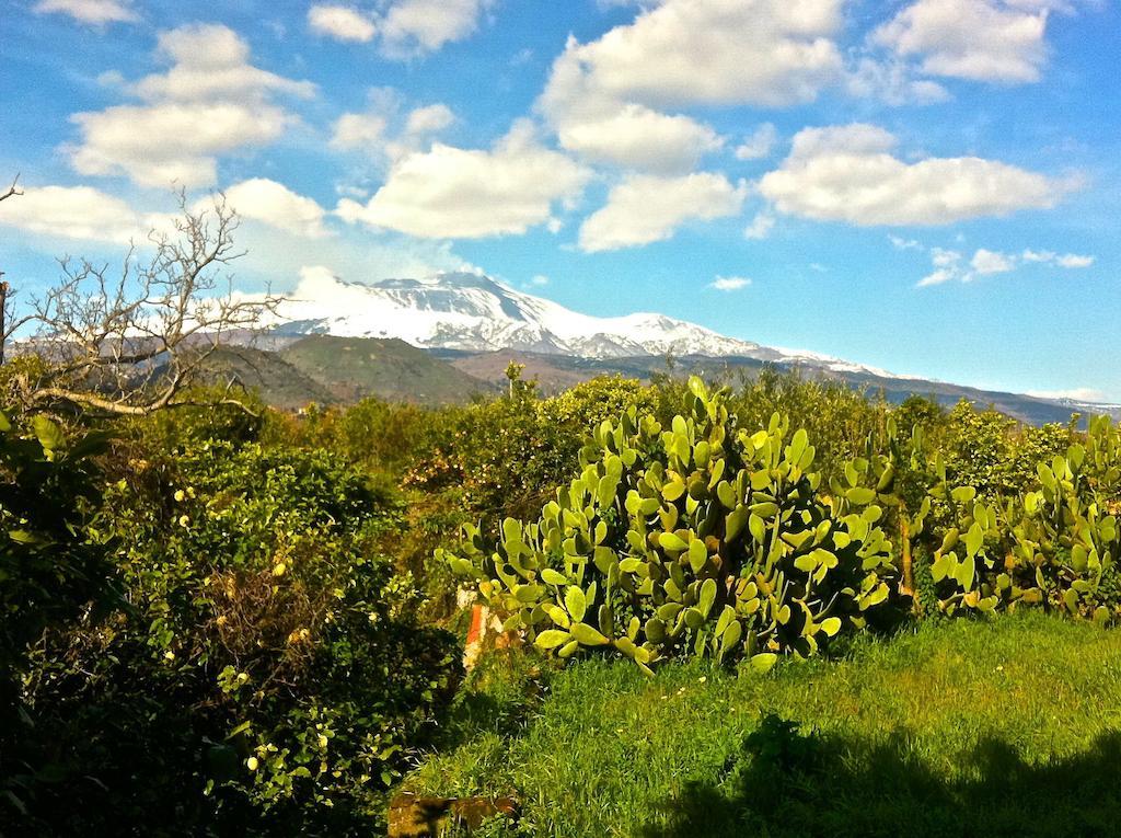 Villa Bonaccorso - Antica E Maestosa Villa Con Piscina Ai Piedi Dell'Etna Viagrande Exteriér fotografie