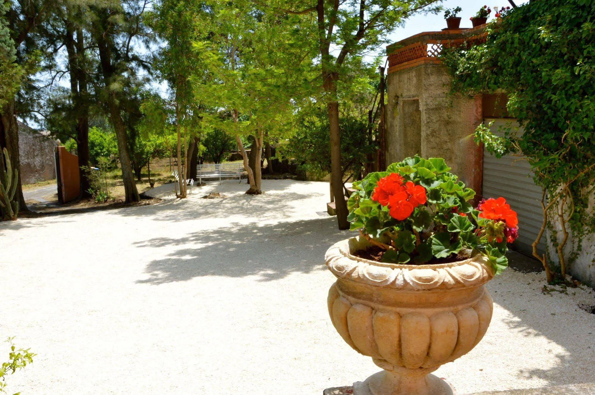 Villa Bonaccorso - Antica E Maestosa Villa Con Piscina Ai Piedi Dell'Etna Viagrande Exteriér fotografie